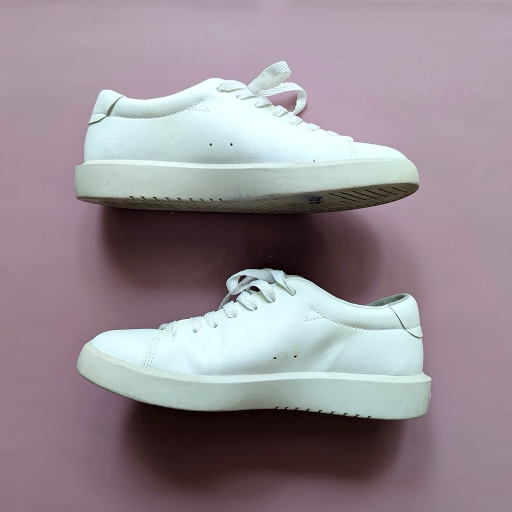 Everlane White Leather Sneakers